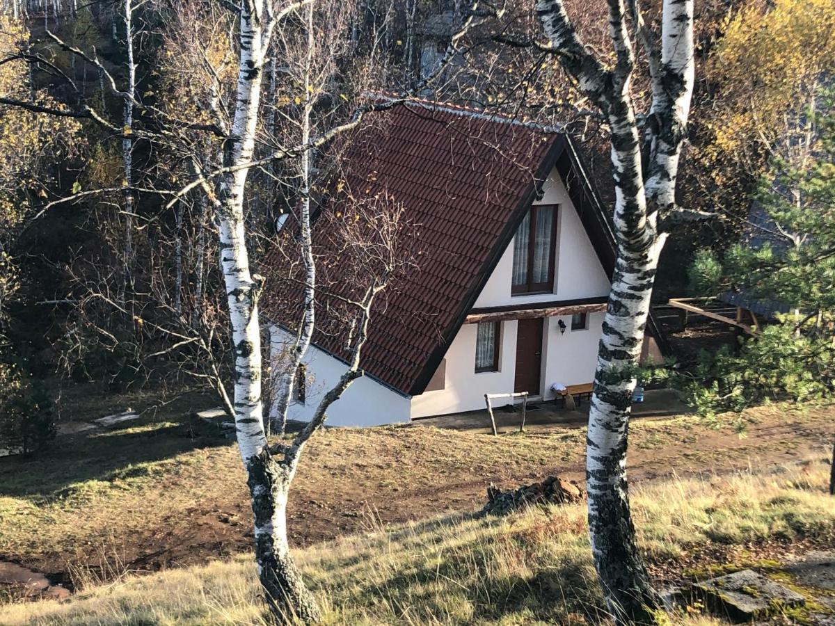 Вилла Vikendica Stojanovic Mionica Экстерьер фото